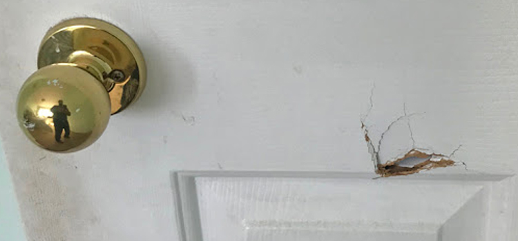 interior door hole repair Oakdale